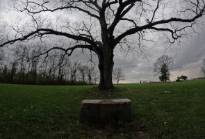 Haunted Ohio's Top 10 Haunted Places: Elizabeth's Grave Chillicothe Ohio Haunted Ohio's Top 10 Haunted Places: Elizabeth's Grave Chillicothe Ohio