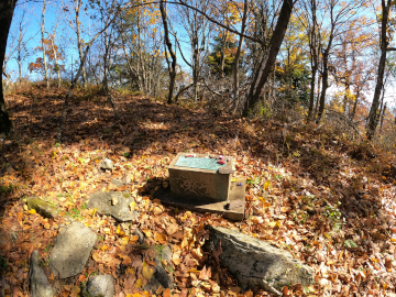 Ottie Powell's Memorial and place of death: Bluff Mountain: Haunted by a little boy, Emmet Powell, also known as Ottie!