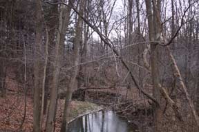 Dead Man's Hollow - Crawford County