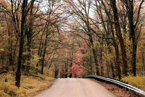 Still House Hollow along Foglesong Road