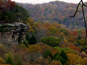 Conkle's Hollow - Hocking Hills State Park