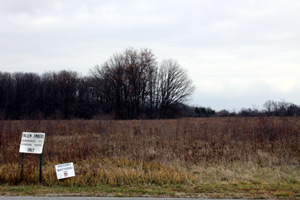 Fallen Timbers Battlefield