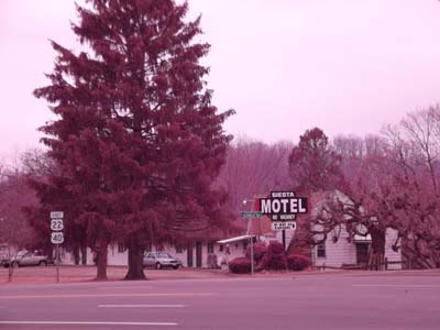 Siesta Motel