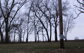 Paul Peters Farm Cemetery (Cholera Cemetery)