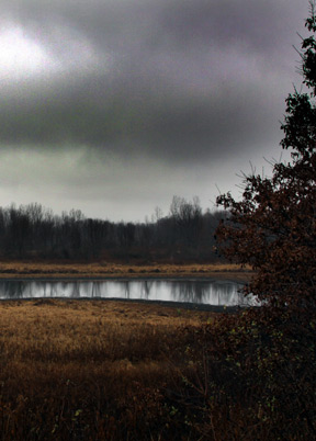 Stage's Pond Near Ashville, Ohio