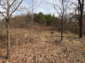 The old haunted well on Axtel Ridge