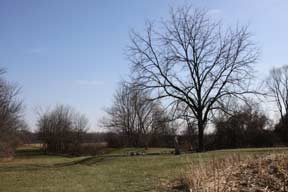 Defiance County Children's Home Cemetery