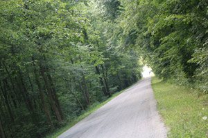 Holcomb Woods near Bowling Green, Ohio