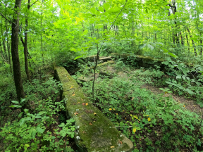 Elliot Family Cemetery and homesite: Witch's Grave at West Branch State Park in Ohio.